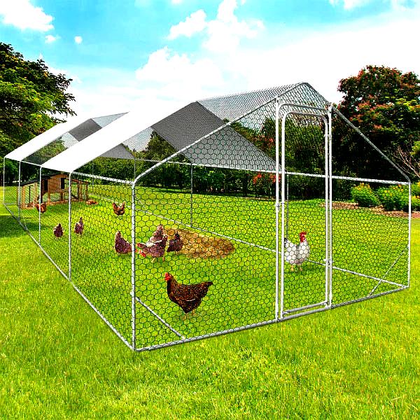 Enclos XXL pour Poules – Parc de 24m² en Acier Galvanisé avec Structure Renforcée