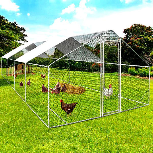 Enclos XXL pour Poules – Parc de 24m² en Acier Galvanisé avec Structure Renforcée